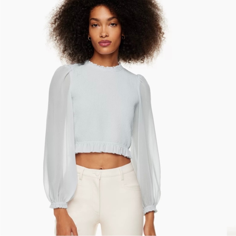 Aritzia Wilfred Tempest Blouse in Snowmelt Blue
